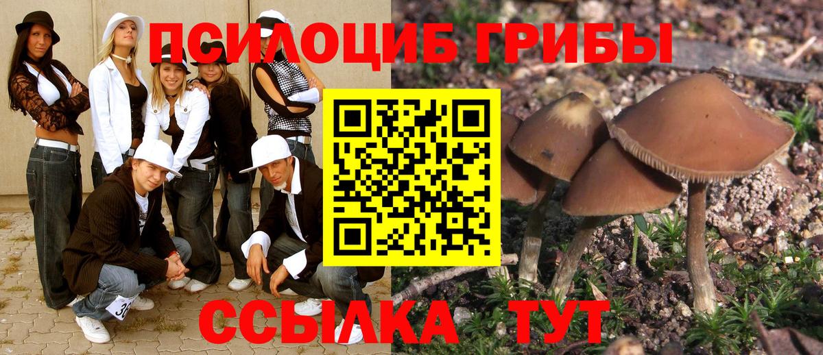 Псилоцибиновые грибы MAGIC MUSHROOMS Камышин