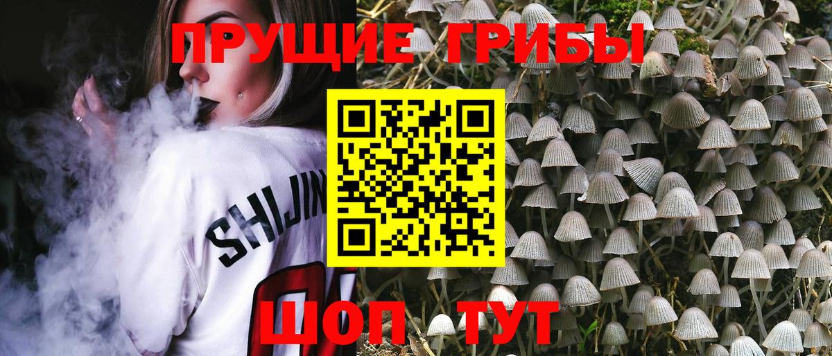 Галлюциногенные грибы ЛСД  Вход с VPN  Камышин  Псилоцибиновые грибы Psilocybine cubensis 