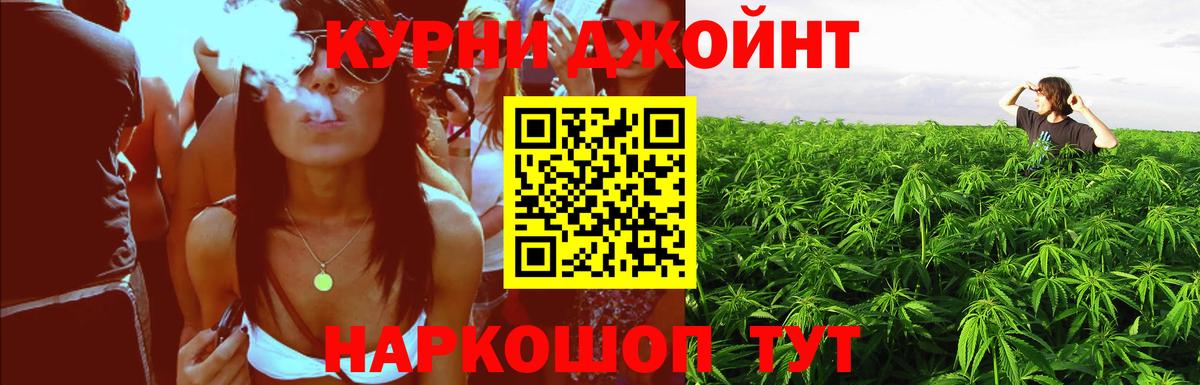 Бошки Шишки OG Kush Камышин